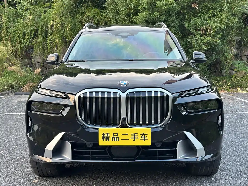 BMW X7 — миниатюра 2