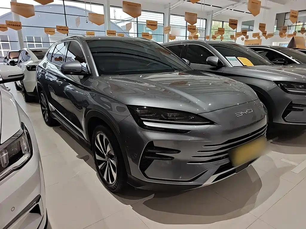 BYD PLUS New Energy — миниатюра 8