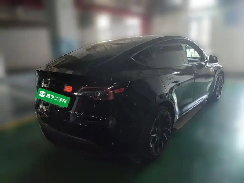 Tesla Model Y — миниатюра 4