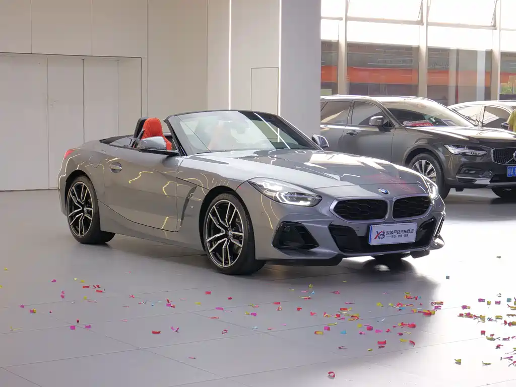 BMW Z4 — миниатюра 2