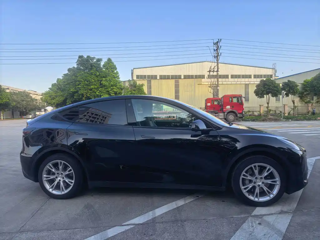 Tesla Model Y — миниатюра 4