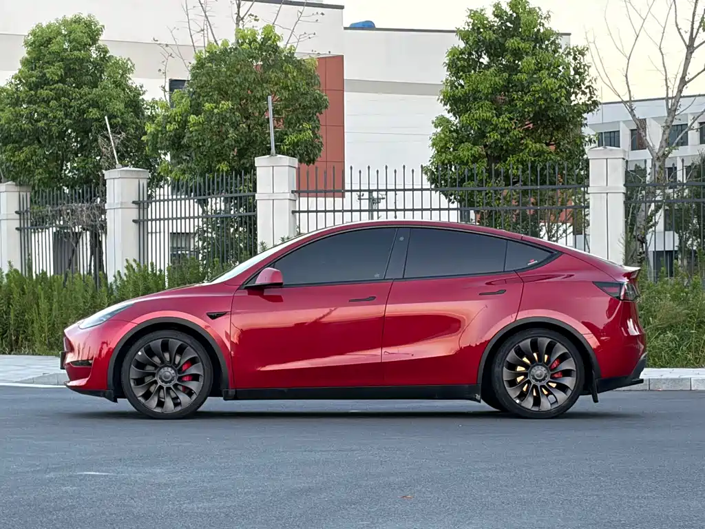 Tesla Model Y — миниатюра 3