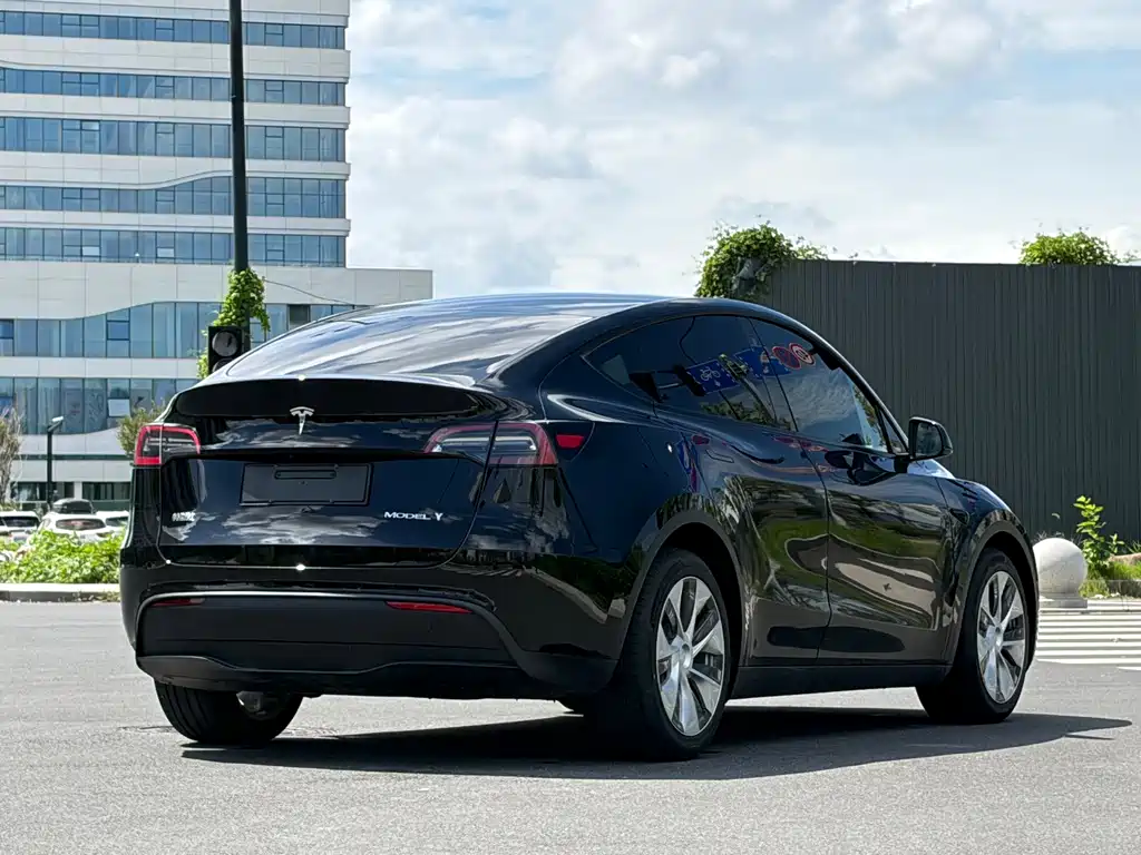 Tesla Model Y — миниатюра 5