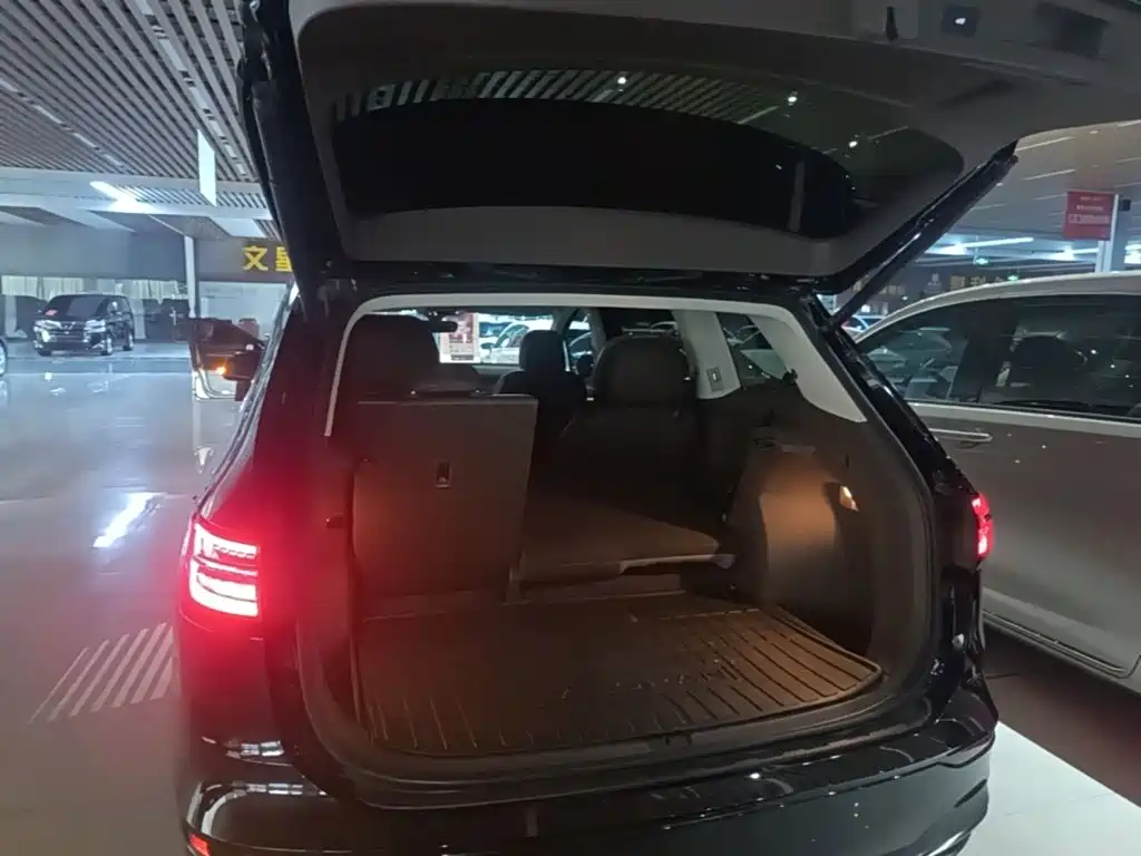 Volkswagen Viloran — миниатюра 19