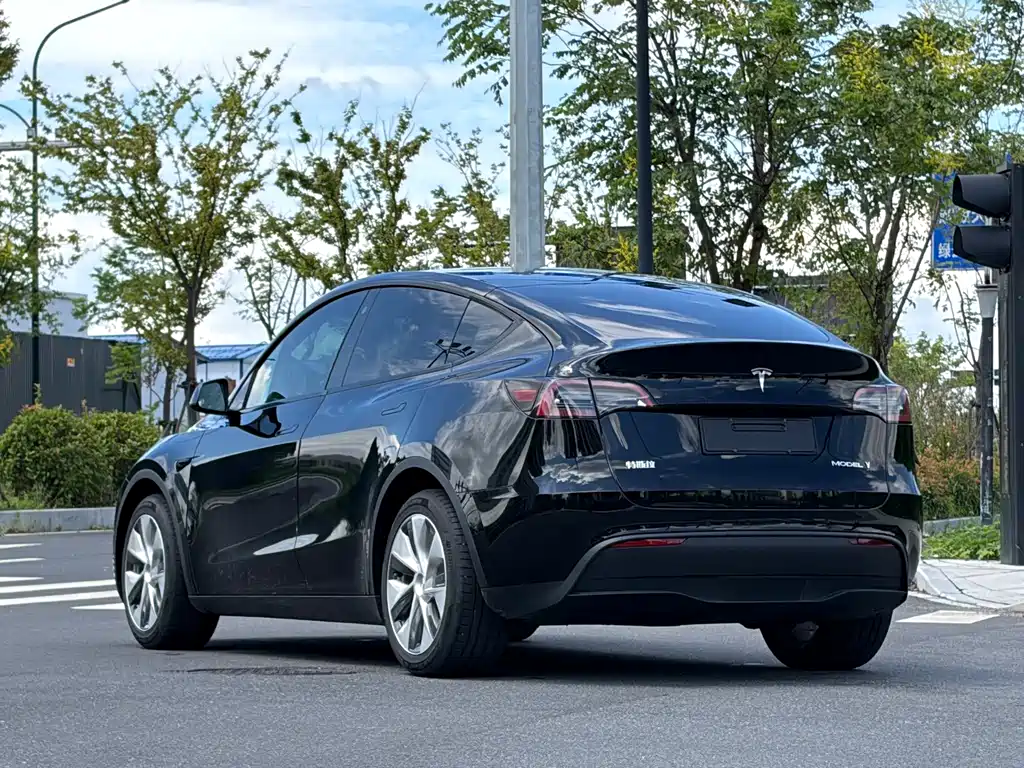 Tesla Model Y — миниатюра 4