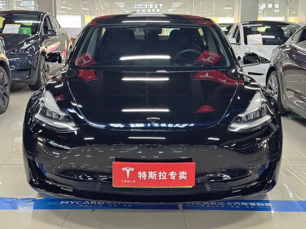 Tesla Model 3 — миниатюра 2