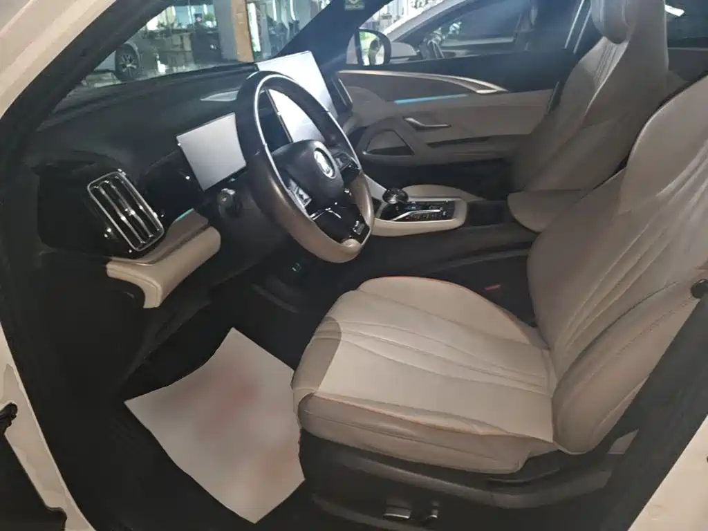 BYD Pro New Energy — миниатюра 16