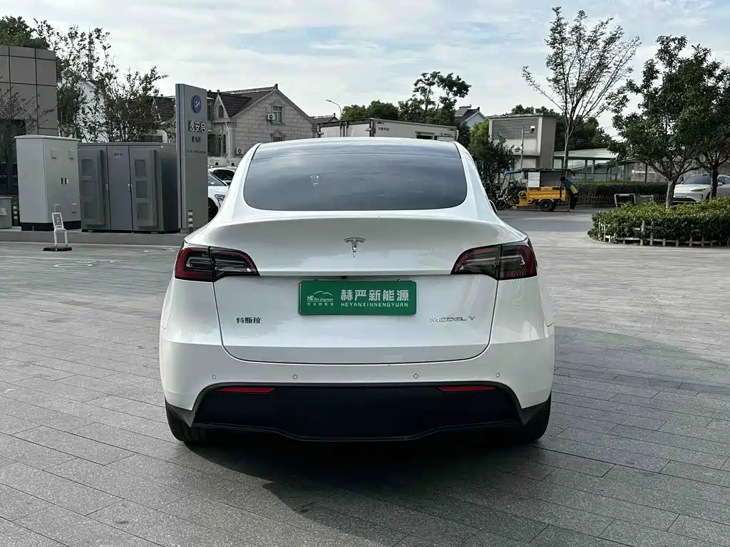 Tesla Model Y — миниатюра 8