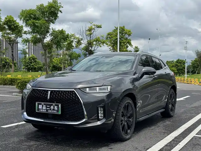2018 Wey P8