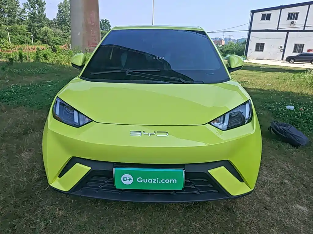 BYD Seagull