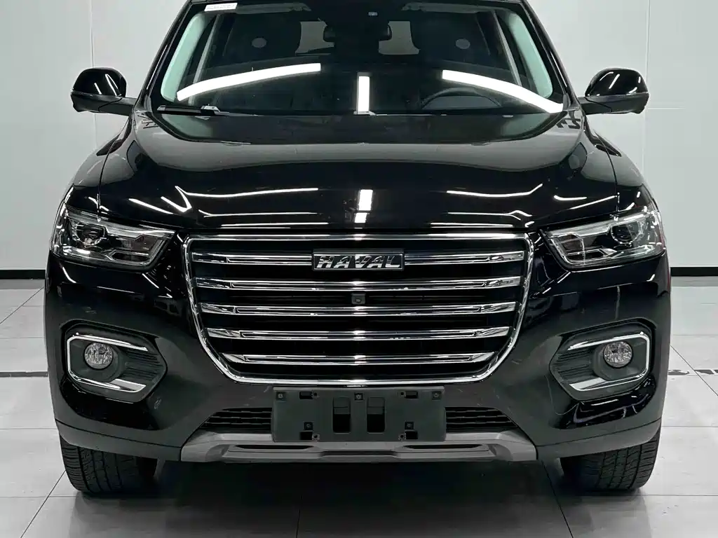 Haval H6 — миниатюра 2