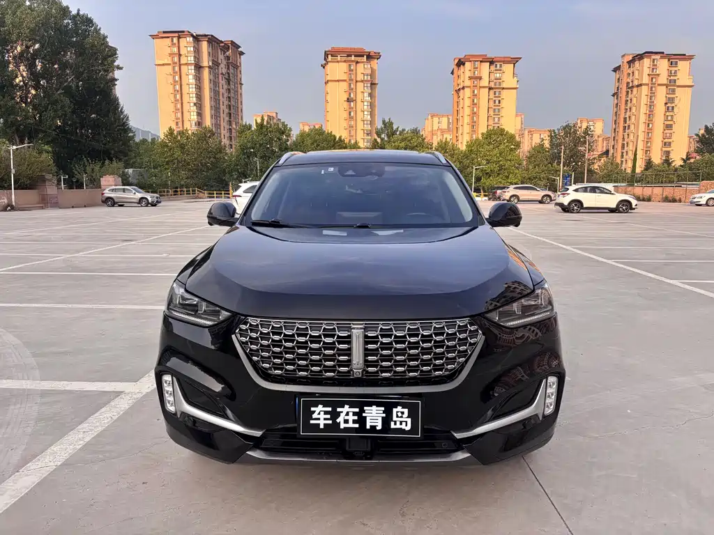 Купить Wey Wey VV6