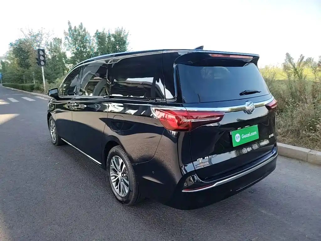 Buick GL8 — миниатюра 5