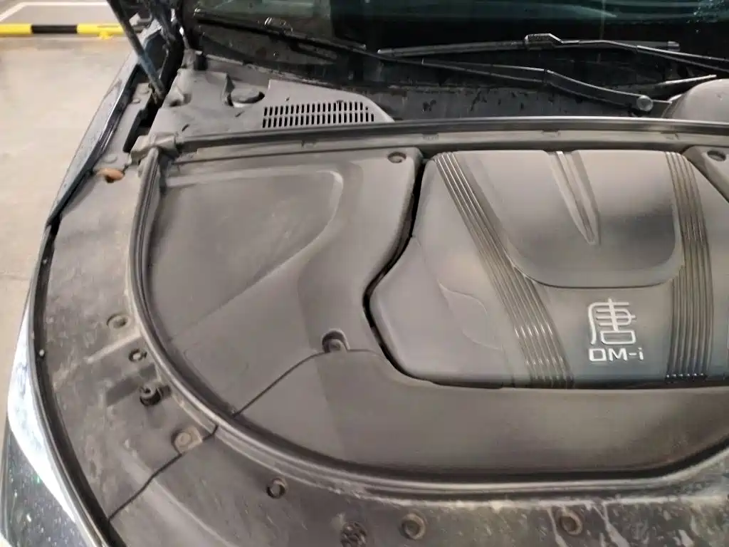 BYD Tang New Energy — миниатюра 20