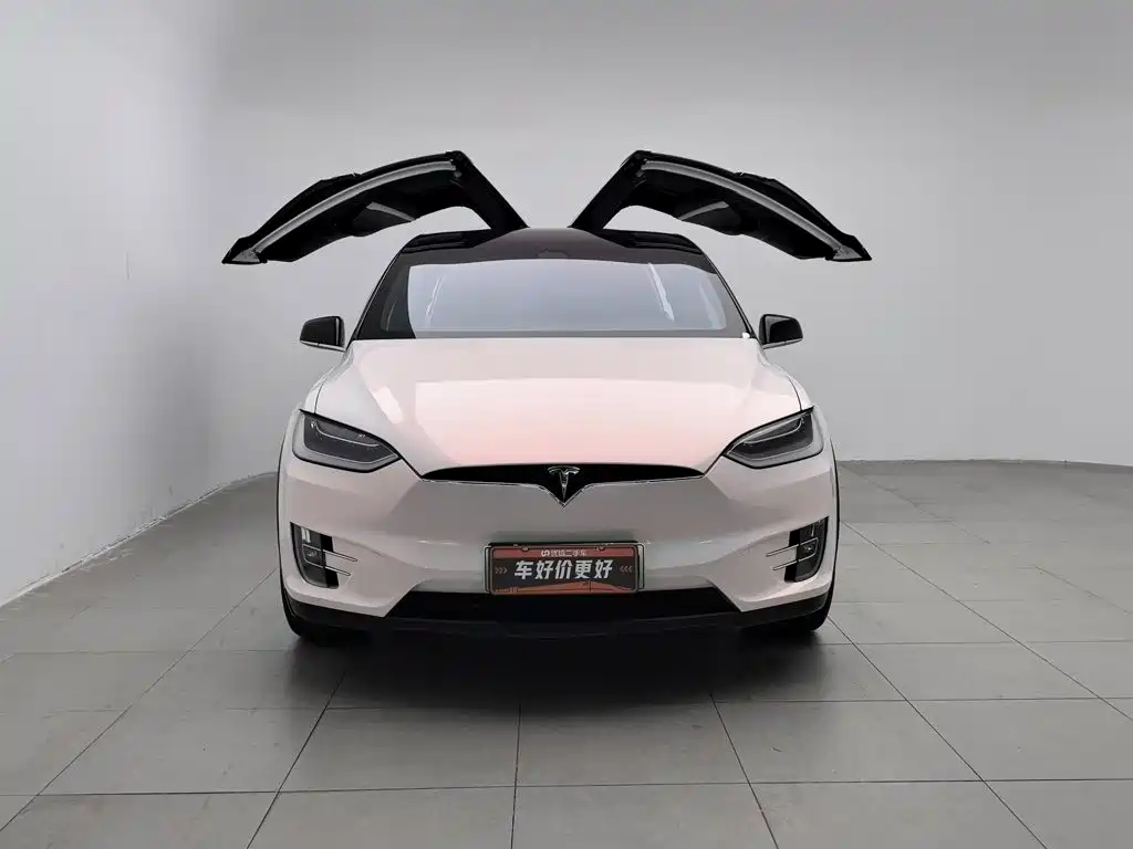 Tesla Model X — миниатюра 3