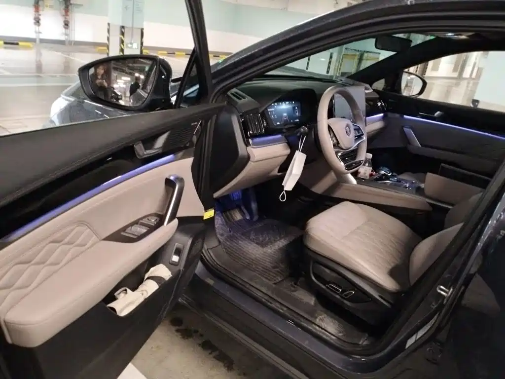 BYD Tang New Energy — миниатюра 14