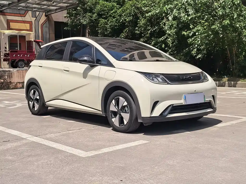 BYD Dolphin 2023 420km Fashion