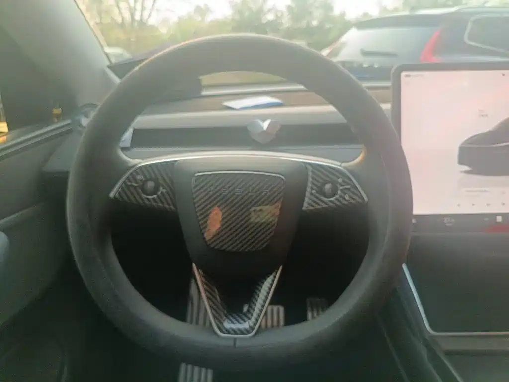 Tesla Model Y — миниатюра 11