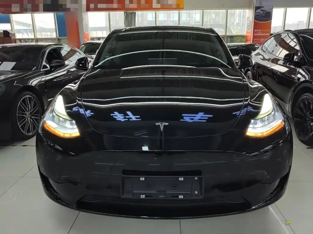 Tesla Model Y — миниатюра 3