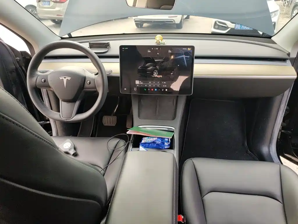 Tesla Model Y — миниатюра 10
