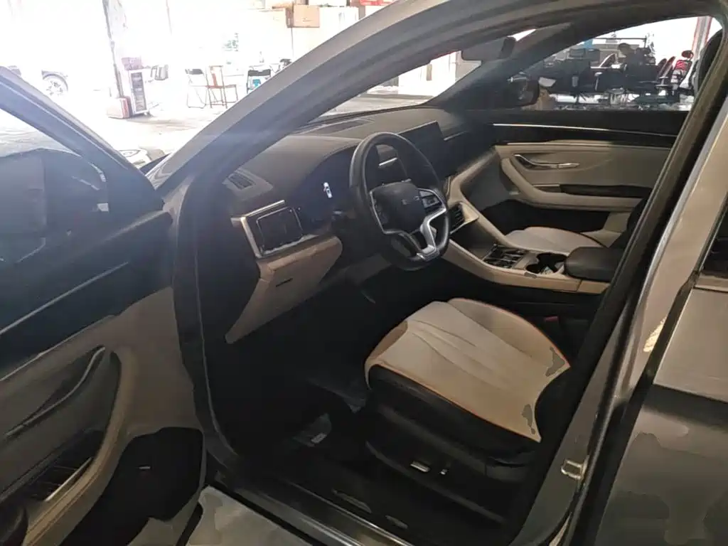 BYD PLUS New Energy — миниатюра 16