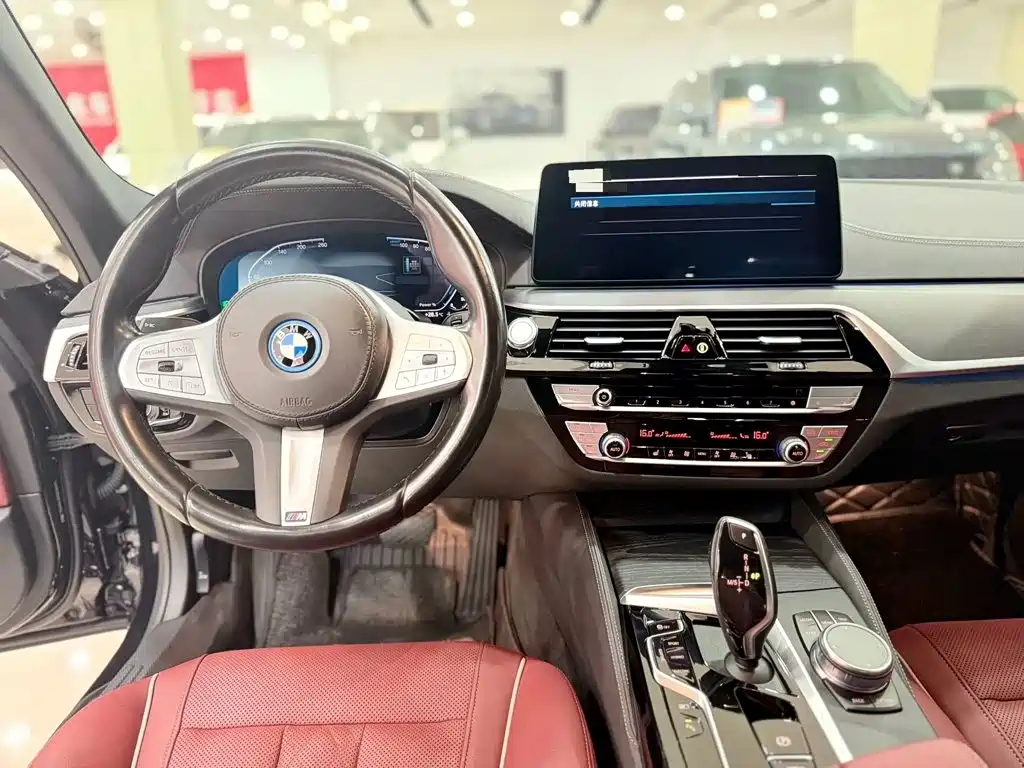 BMW 5 Series New Energy — миниатюра 11