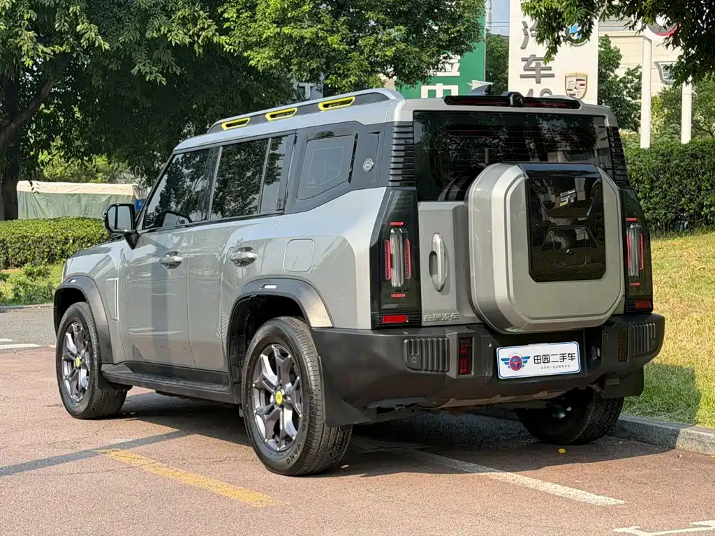 Shanhai Traveller C-DM — миниатюра 4