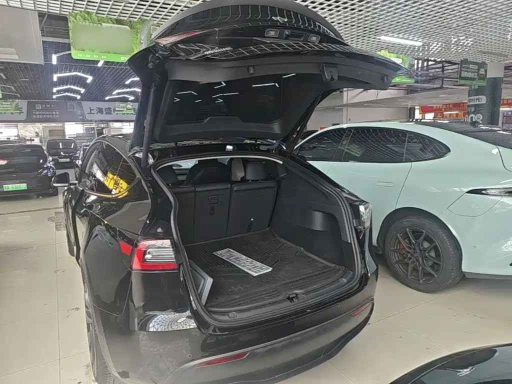 Tesla Model Y — миниатюра 19