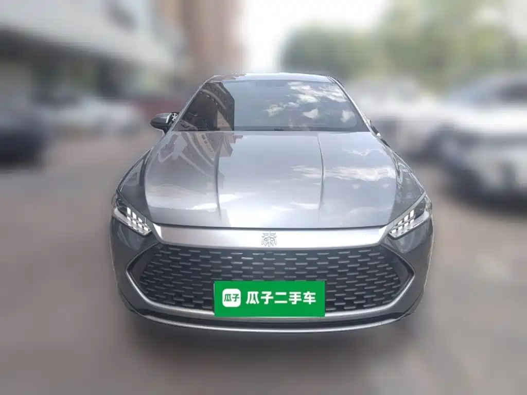 BYD Qin Plus PLUS 2023 Champion DM-i 55KM Lead