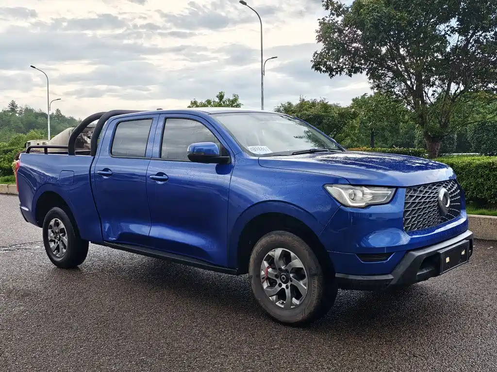 Great Wall Pao — миниатюра 23