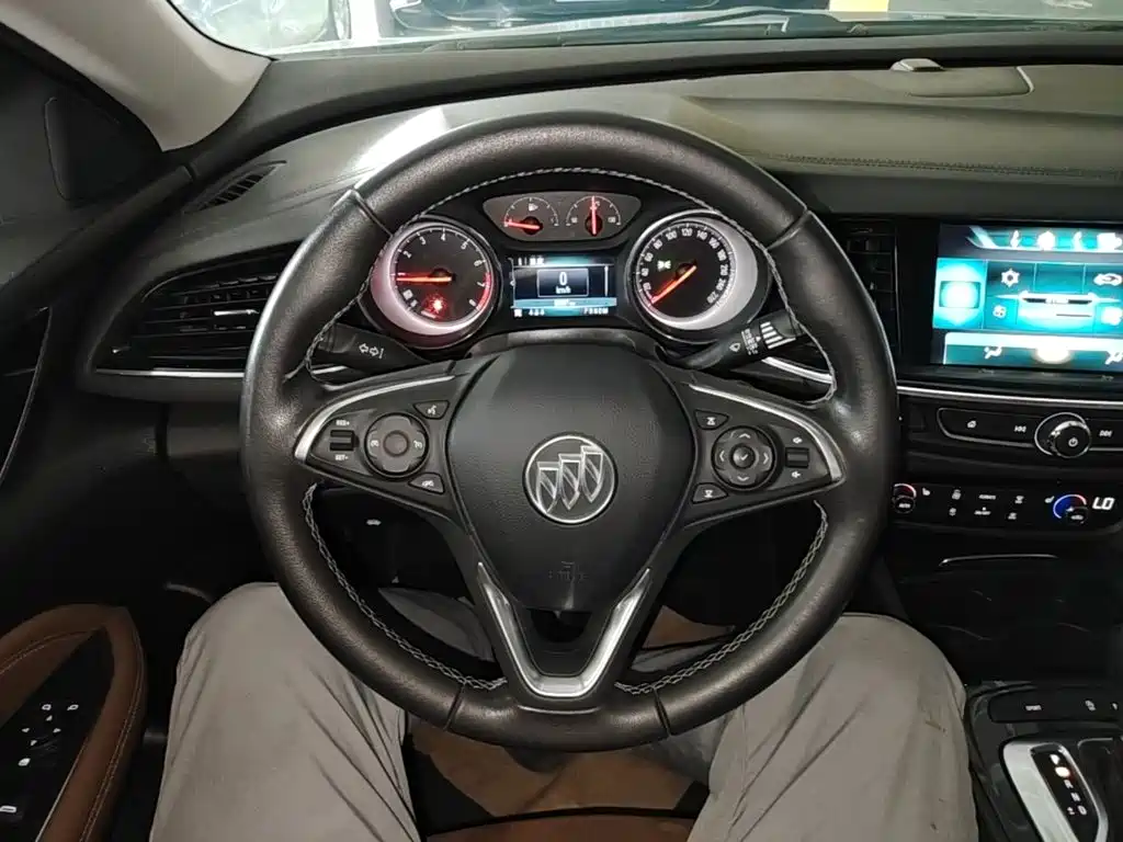 Buick Regal — миниатюра 11