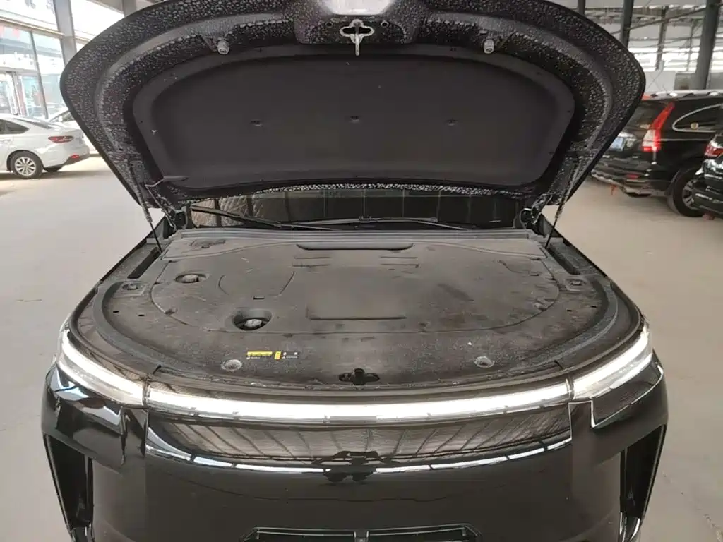 GAC Motor Trumpchi Xiangwang S9 — миниатюра 20