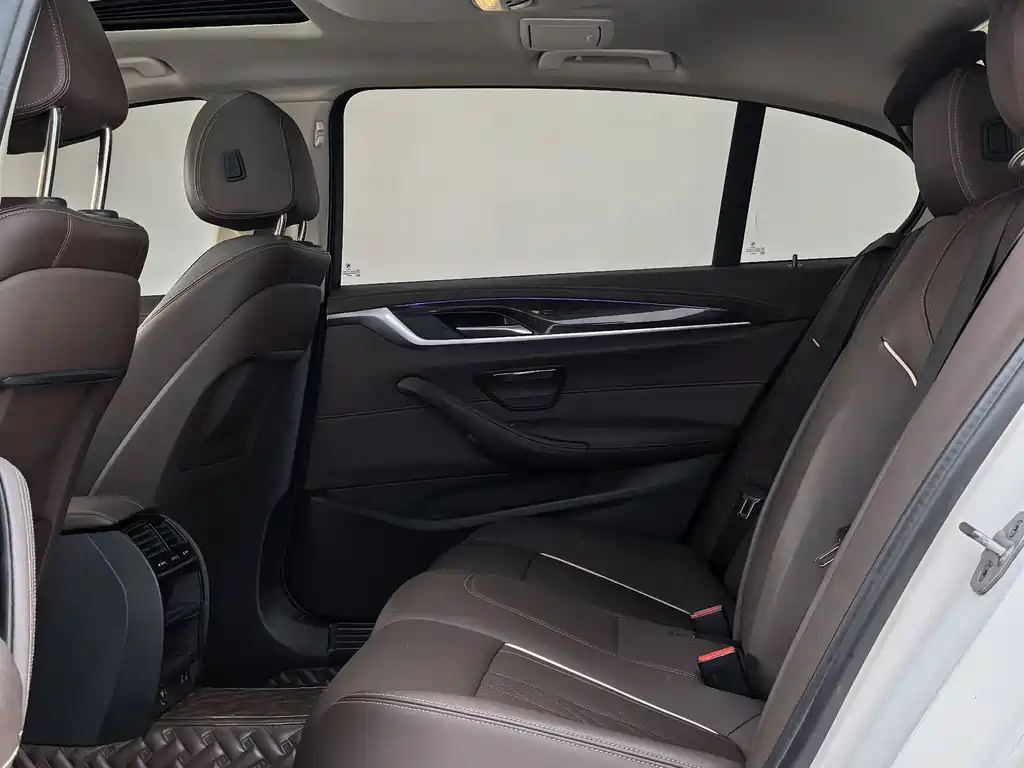 BMW 5 Series 5 2021 525Li Luxury