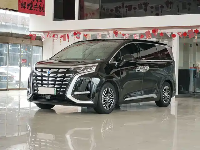 2024 Denza D9
