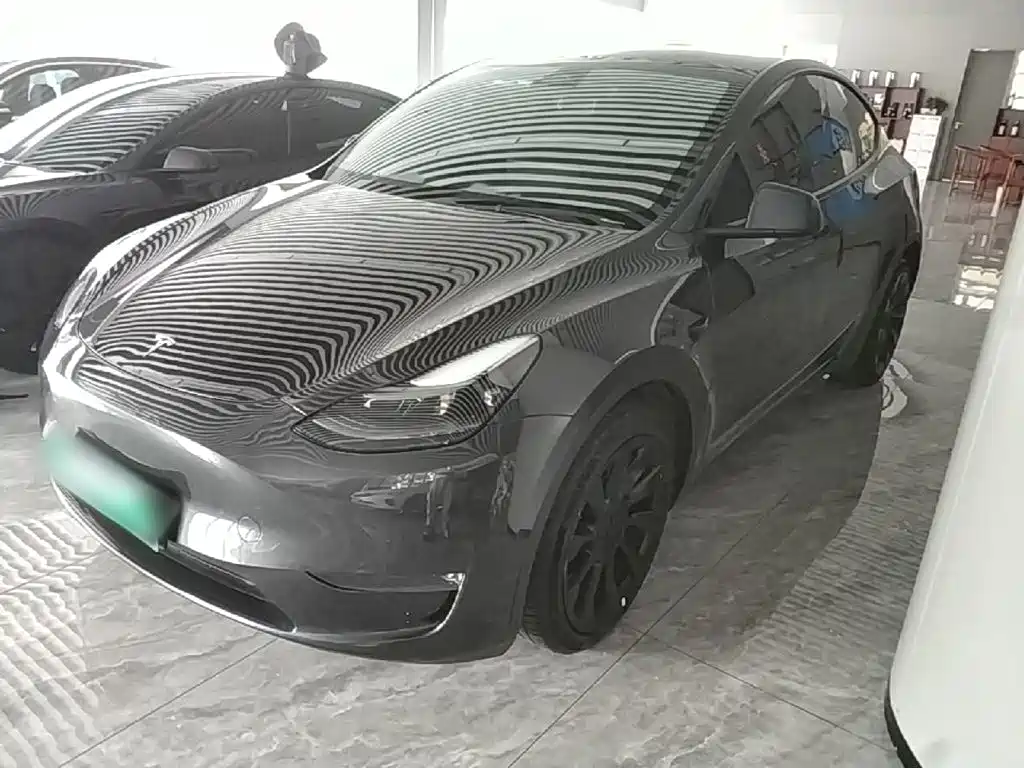 Tesla Model Y — миниатюра 2