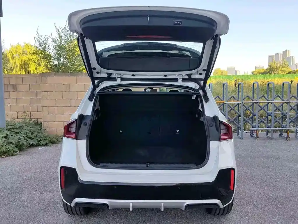 BMW X1 — миниатюра 8