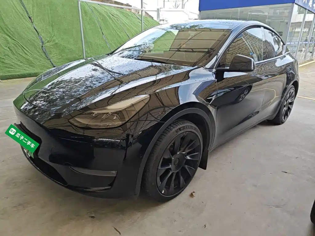 Tesla Model Y — миниатюра 2