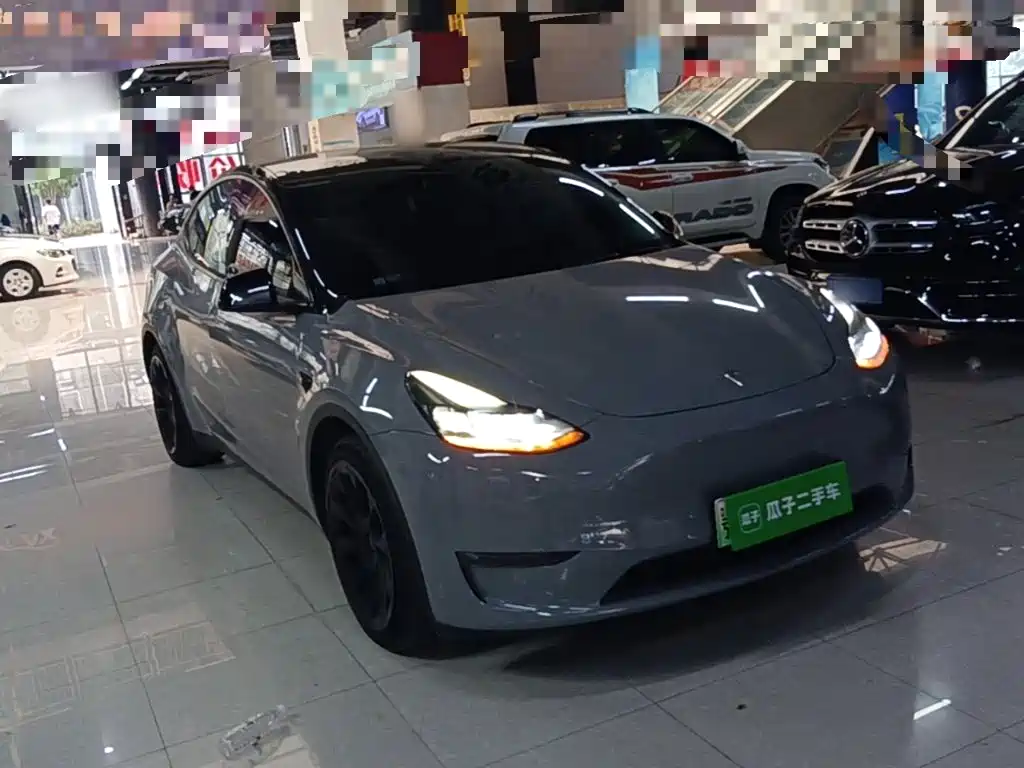 Tesla Model Y — миниатюра 4