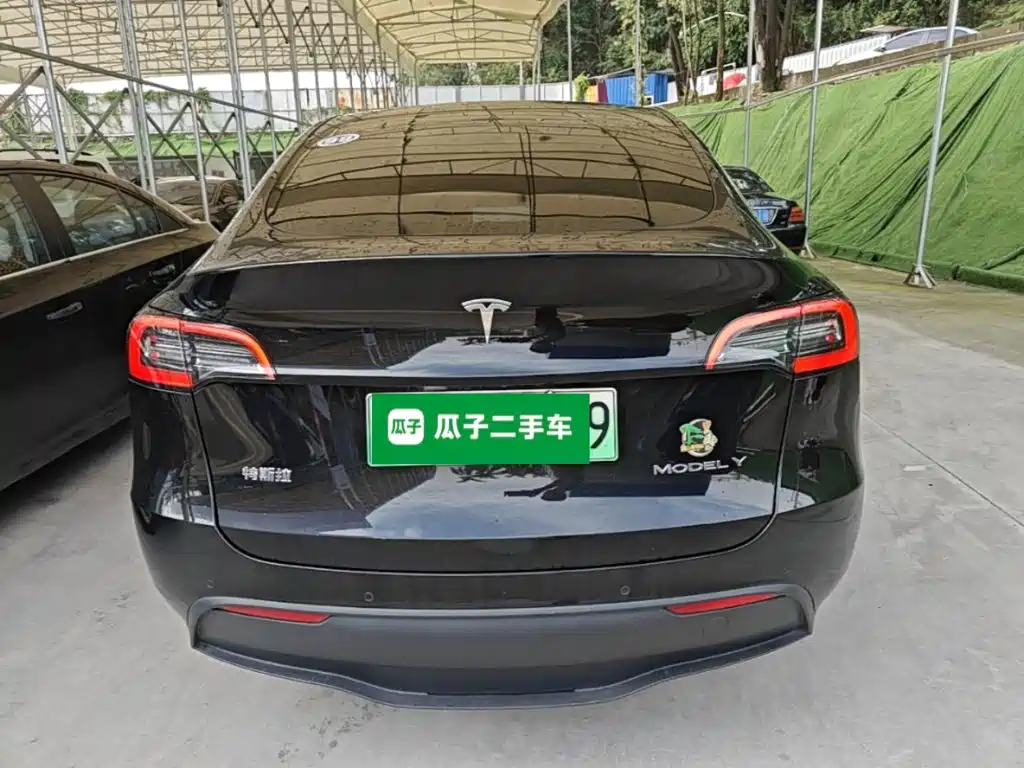 Tesla Model Y — миниатюра 6