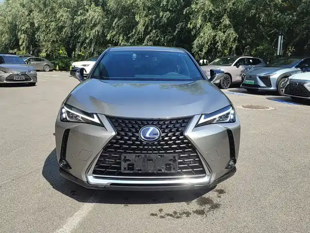 2020 Lexus UX