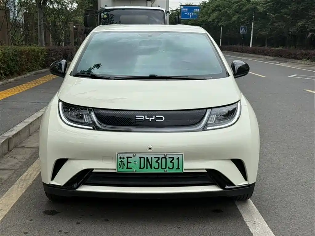 BYD Dolphin 2025 420km Freedom