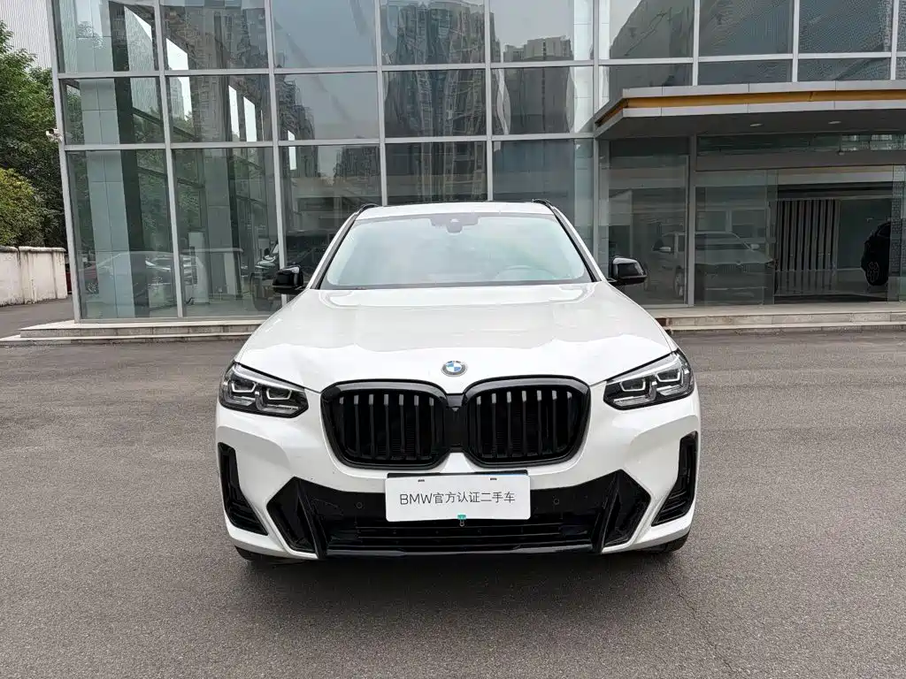 BMW X3 — миниатюра 2