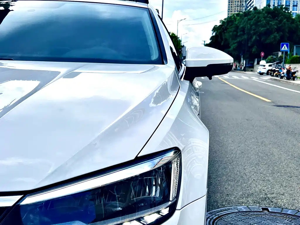 Volkswagen Lamando — миниатюра 5