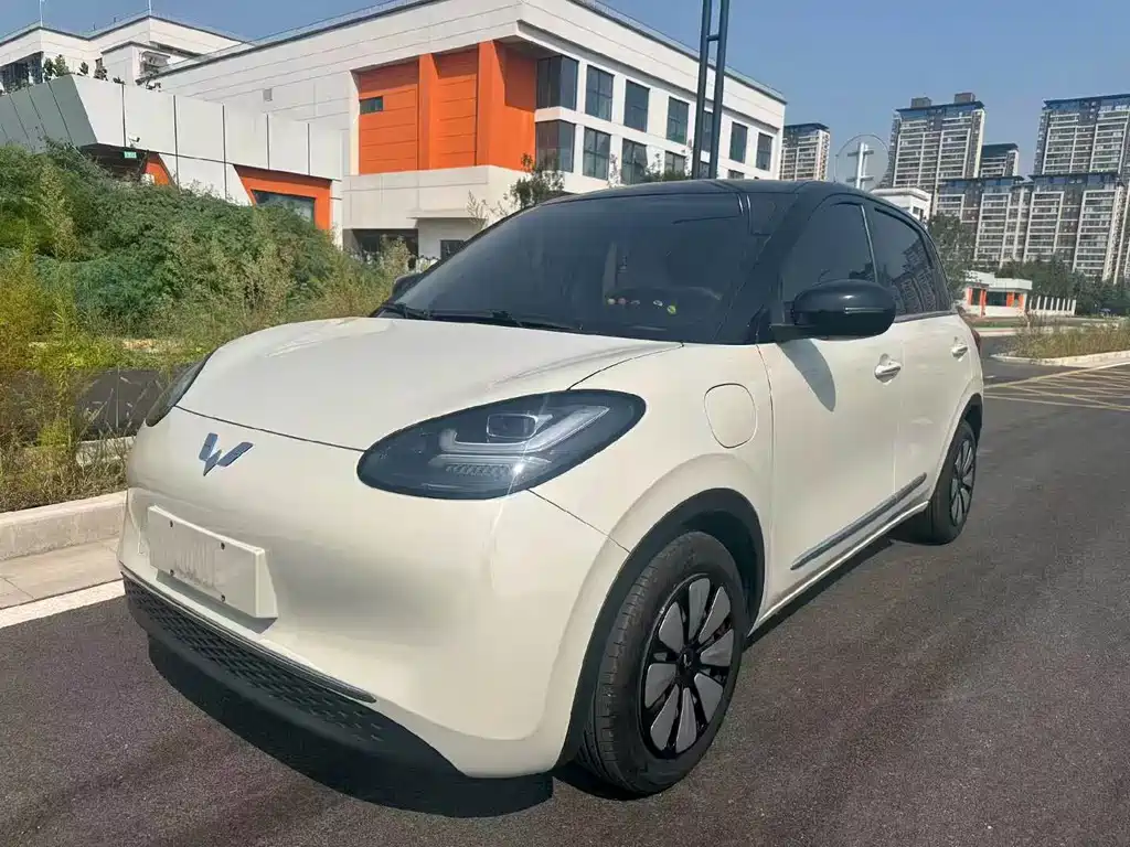 Wuling Bingo