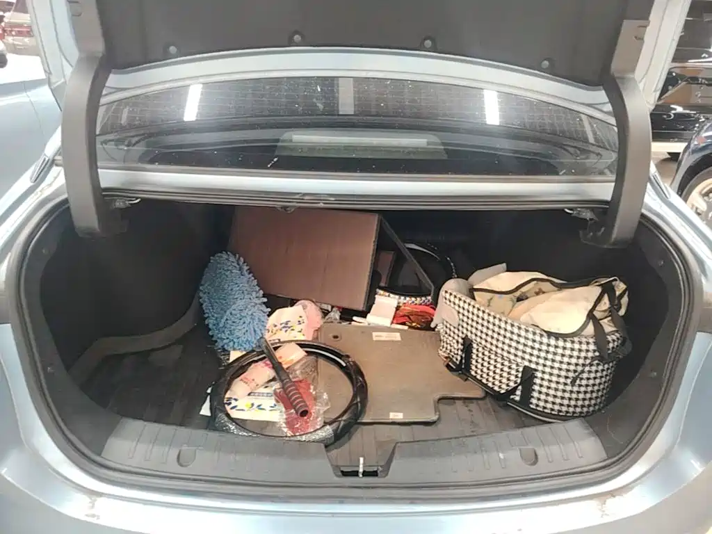 Aion AION S Plus — миниатюра 19