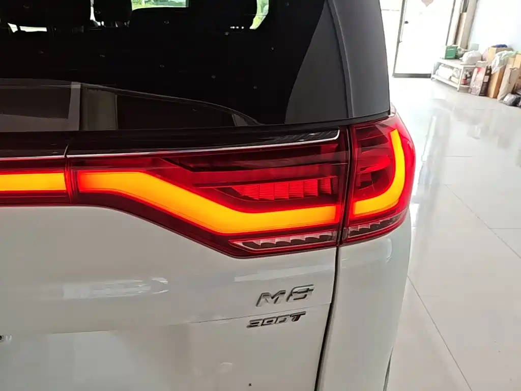 GAC Motor Trumpchi M8 — миниатюра 8