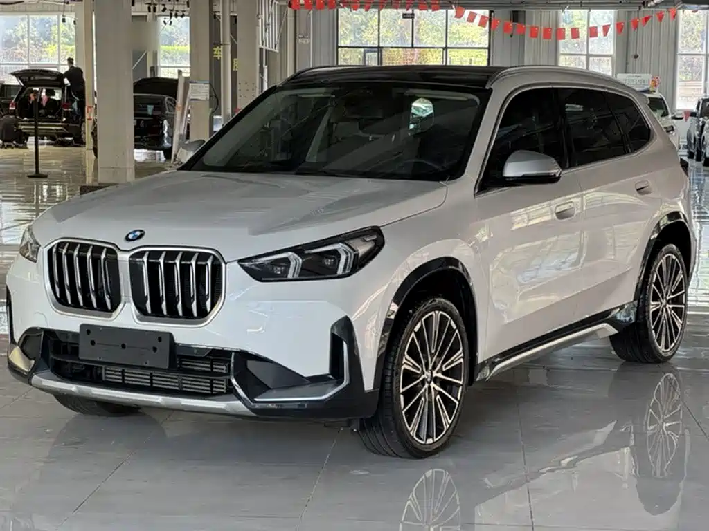 BMW X1 — миниатюра 2