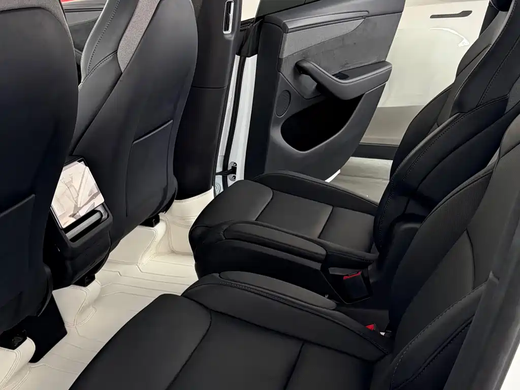 Tesla Model Y L — миниатюра 7