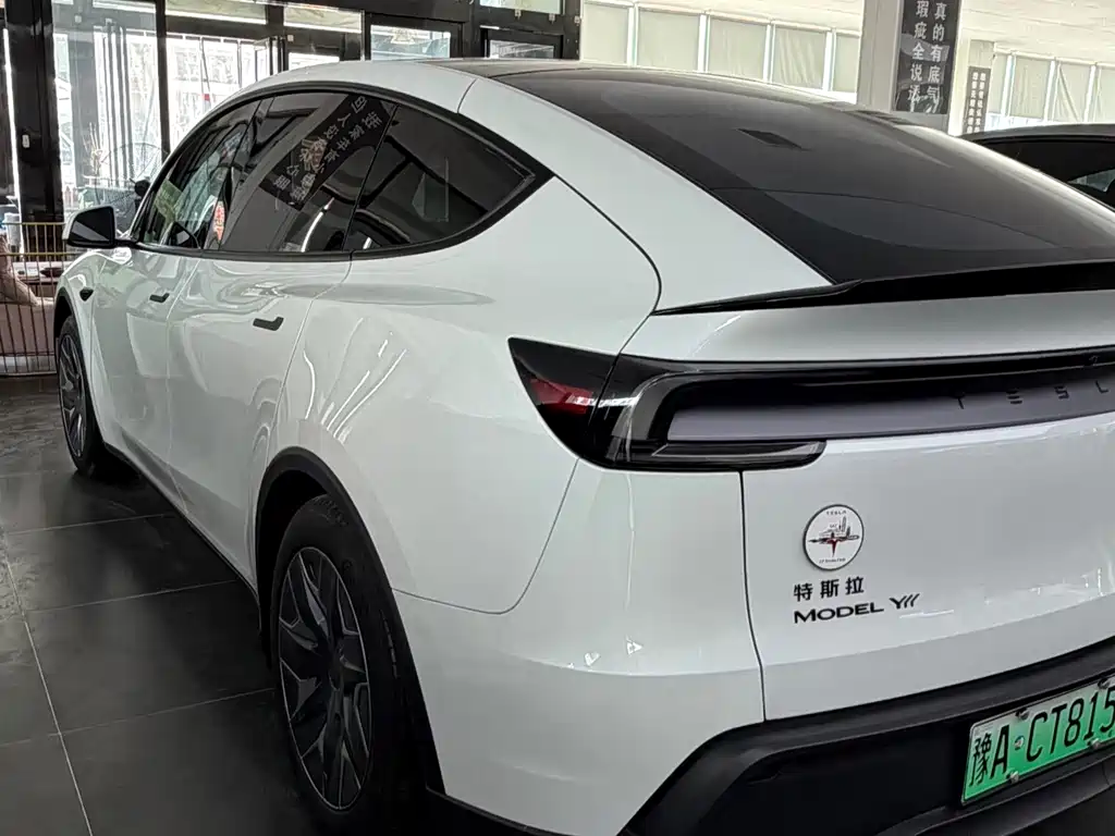 Tesla Model Y L — миниатюра 5