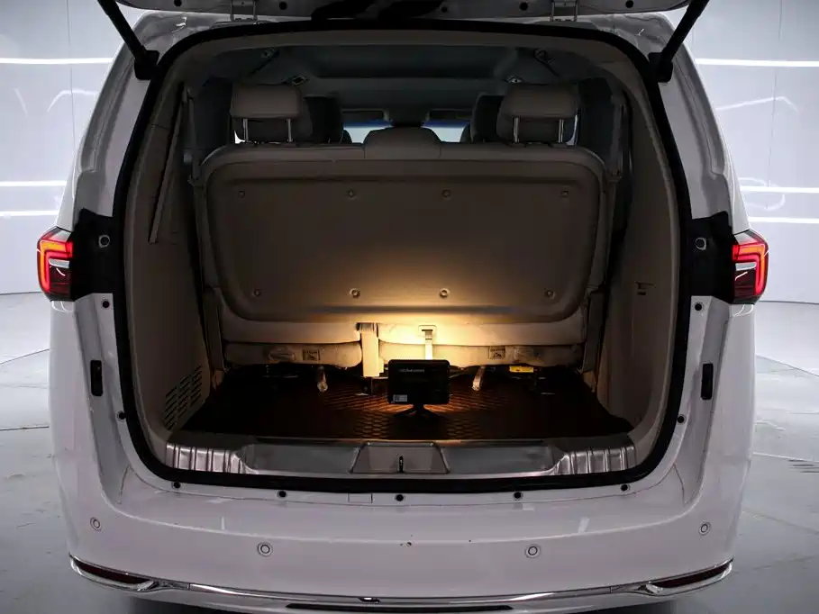 Buick GL8 — миниатюра 16